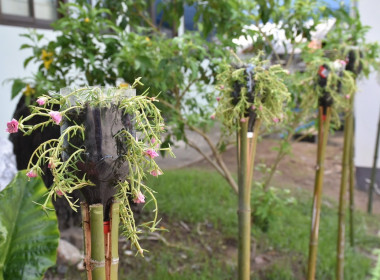 ร่วมดำเนินโครงการ “5 ส สะสาง สะดวก สะอาด สุขลักษณะ ... พารามิเตอร์รูปภาพ 8