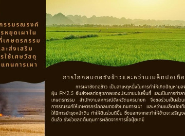 รณรงค์การหยุดเผาในพื้นที่เกษตรกรรมและส่งเสริมการใช้เศษวัสดุเพื่อทดแทนการเผา ... พารามิเตอร์รูปภาพ 1