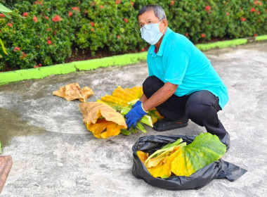 “5ส สะสาง สะดวก สะอาด สุขลักษณะ สร้างนิสัย (Big Cleaning ... พารามิเตอร์รูปภาพ 15