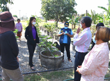 ลงพื้นที่เพื่อเข้าเยี่ยมเยียนบ้านของสมาชิกสหกรณ์การเกษตรเมืองนครนายก จำกัด ที่มีพื้นที่ในอำเภอเมืองนครนายก จังหวัดนครนายก ... พารามิเตอร์รูปภาพ 2