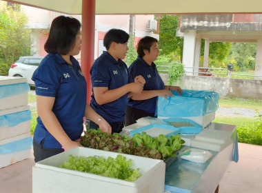 คณะทำงานฟื้นฟูสหกรๅณ์เคหสถาน บ้านมั่นคงบางย่านซื่อ จำกัด ... พารามิเตอร์รูปภาพ 3