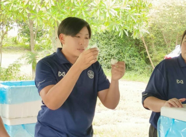 คณะทำงานฟื้นฟูสหกรๅณ์เคหสถาน บ้านมั่นคงบางย่านซื่อ จำกัด ... พารามิเตอร์รูปภาพ 6