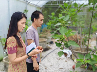 ผู้อำนวยการกลุ่มส่งเสริมและพัฒนาธุรกิจสหกรณ์ ... พารามิเตอร์รูปภาพ 1