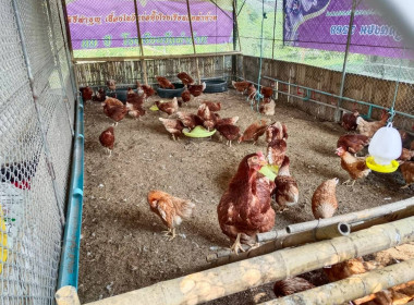 นางสาวสอาดจิต ประสงค์สิน สหกรณ์จังหวัดนครนายก ... พารามิเตอร์รูปภาพ 9