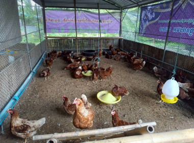 นางสาวสอาดจิต ประสงค์สิน สหกรณ์จังหวัดนครนายก มอบหมายให้ ... พารามิเตอร์รูปภาพ 6