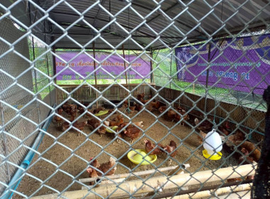 นางสาวสอาดจิต ประสงค์สิน สหกรณ์จังหวัดนครนายก มอบหมายให้ ... พารามิเตอร์รูปภาพ 7