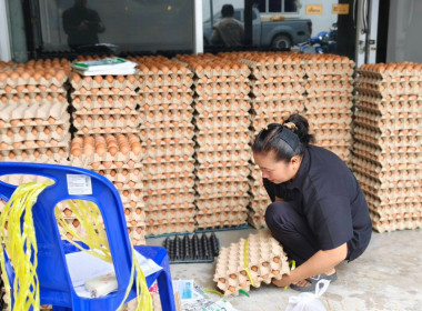 สหกรณ์จังหวัดนครนายก ... พารามิเตอร์รูปภาพ 5