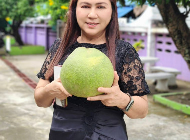 สหกรณ์จังหวัดนครนายก ... พารามิเตอร์รูปภาพ 1