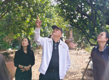 ผู้ตรวจราชการกรมส่งเสริมสหกรณ์ เขตตรวจราชการที่ 9 , 11 และ ... พารามิเตอร์รูปภาพ 14