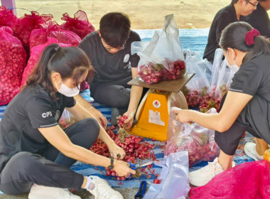 างสาวเกศินี เจริญสุวรรณ สหกรณ์จังหวัดนครนายก พร้อมด้วย ... พารามิเตอร์รูปภาพ 3