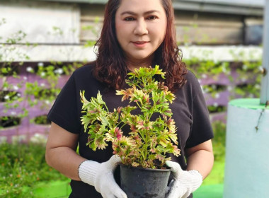 นางสาวเกศินี เจริญสุวรรณ สหกรณ์จังหวัดนครนายก พร้อมด้วย ... พารามิเตอร์รูปภาพ 1