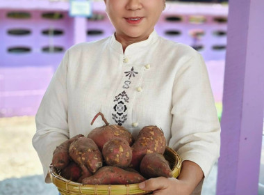 นางสาวเกศินี เจริญสุวรรณ สหกรณ์จังหวัดนครนายก ... พารามิเตอร์รูปภาพ 1