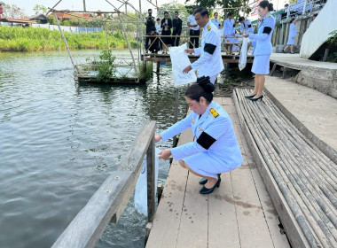 นายชานน วาสิกศิริ ผู้ว่าราชการจังหวัดนครนายก ... พารามิเตอร์รูปภาพ 4