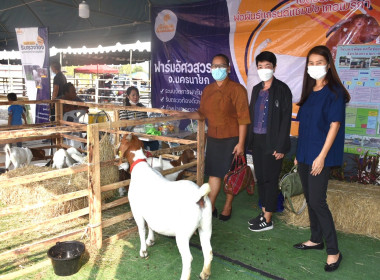 ร่วมพิธีมอบรางวัลถ้วยพระราชทานสมเด็จพระกนิษฐาธิราชเจ้า ... พารามิเตอร์รูปภาพ 3