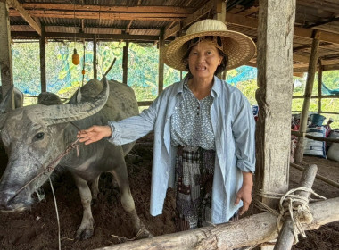 ลงพื้นที่ตรวจสอบการใช้เงินกู้กองทุนพัฒนาสหกรณ์ของสหกรณ์การเกษตรเมืองนครนายก จำกัด ... พารามิเตอร์รูปภาพ 2