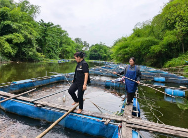 ลงพื้นที่ตรวจสอบการใช้เงินกู้กองทุนพัฒนาสหกรณ์ของสหกรณ์การเกษตรเมืองนครนายก จำกัด ... พารามิเตอร์รูปภาพ 7