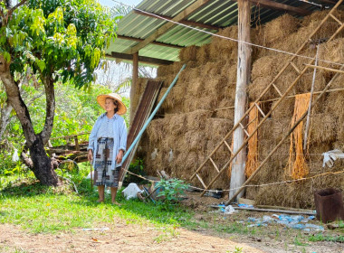 ลงพื้นที่ตรวจสอบการใช้เงินกู้กองทุนพัฒนาสหกรณ์ของสหกรณ์การเกษตรเมืองนครนายก จำกัด ... พารามิเตอร์รูปภาพ 8