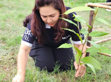 กิจกรรมปลูกต้นไม้เนื่องในวันต้นไม้ประจำปีของชาติ พ.ศ. 2569 ... พารามิเตอร์รูปภาพ 1