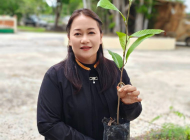 กิจกรรมปลูกต้นไม้เนื่องในวันต้นไม้ประจำปีของชาติ พ.ศ. 2569 ... พารามิเตอร์รูปภาพ 3