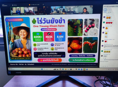 โครงการฝึกอบรมเชิงปฏิบัติการ หลักสูตร ... พารามิเตอร์รูปภาพ 4