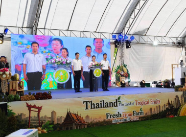 นางสาวปิยะรัฐชย์ ติยะไพรัช ... พารามิเตอร์รูปภาพ 7