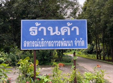 นายประเวช กิ่งบู ผู้อำนวยการกลุ่มส่งเสริมสหกรณ์ 1 ... พารามิเตอร์รูปภาพ 2