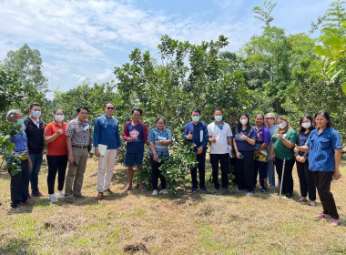 ร่วมเป็นกรรมการตัดสินการประกวดแปลงใหญ่ดีเด่นระดับจังหวัด ปี ... พารามิเตอร์รูปภาพ 4