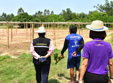 เข้าเยี่ยมเยียนสมาชิกเกษตรกรเพื่อค้นหาเกษตรกรต้นแบบของสหกรณ์ ณ สวนศิริมงคล ตำบลหนองแสง อำเภอปากพลี จังหวัดนครนายก ... พารามิเตอร์รูปภาพ 3