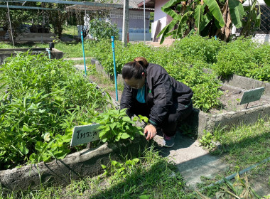 ร่วมลงพื้นที่เพื่อติดตามผลการดำเนินกิจกรรมขยายผลโครงการเกษตรเพื่ออาหารกลางวัน กิจกรรมอันเนื่องมาจากพระราชดำริ ภายใต้โครงการพัฒนาคุณภาพด้านการศึกษาและเพิ่มทักษะการประกอบอาชีพ ประจำปีงบประมาณ พ.ศ. 2566 ... พารามิเตอร์รูปภาพ 2