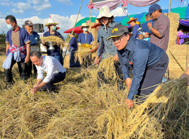 เข้าร่วมพิธีเปิดโครงการประเพณีลงแขกเกี่ยวข้าว ประจำปี 2566 ... พารามิเตอร์รูปภาพ 4